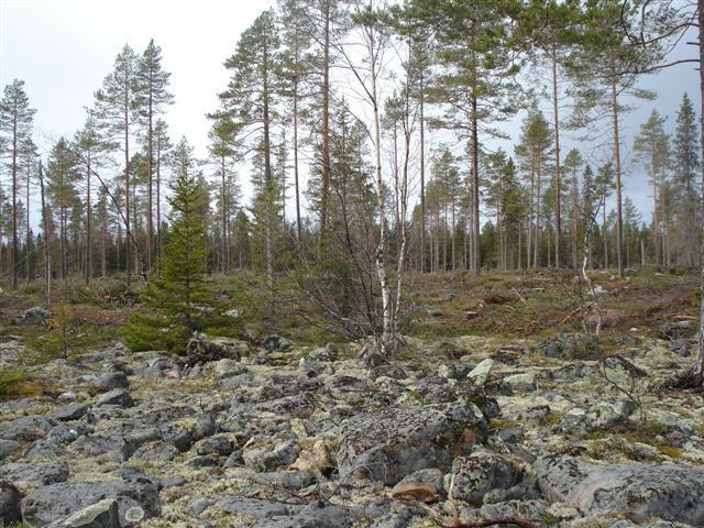Karsikkoniemen länsipuolisille saarille ja niemille Kemin Tornion alueella on sijoittunut raskasta teollisuutta, satamatoimintoja ja tuulivoimaloita, joiden rakenteet erottuvat maisemassa kauas.