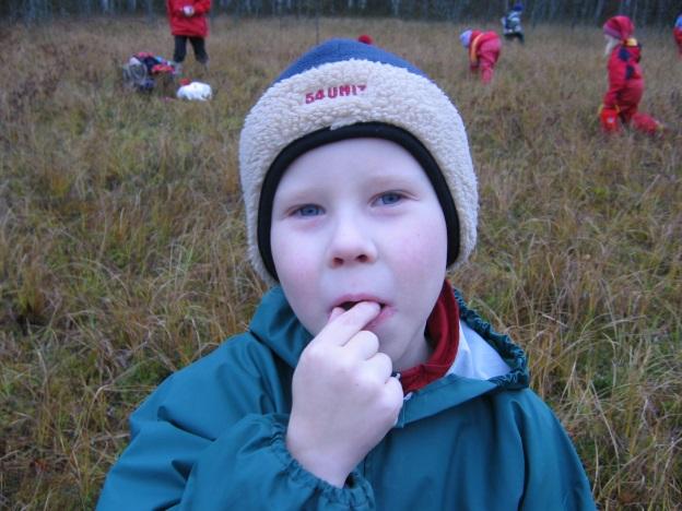 Suutuntumaa Suuontelon kosketustunto, jota kutsutaan usein suutuntumaksi, on lapselle tärkeä ruokaan liittyvä aistimusten välittäjä. Huulet ja suun etuosa ovat lämpötilalle herkkiä alueita.