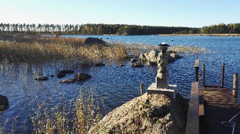 Riehuin vesurin kanssa ympäri tonttia. Tuija ehti tehdä sillä aikaa kuivan kakun. Aurinkoterassin tukipuu on mätä Markku Sandström.
