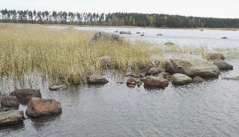 Myrsky vienyt veden