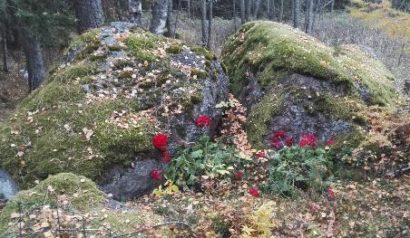 Tuija sillä aikaa pesi terassikalusteet ja imuroi sisällä.