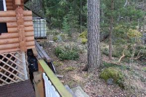 Saunamökistä tyhjensin myös hiirenloukun, oli keskellä mökin lattiaa.