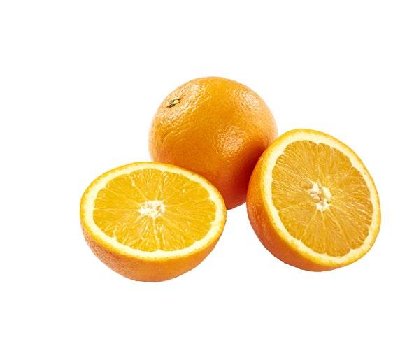 LÄMPÖTISKILTÄ
