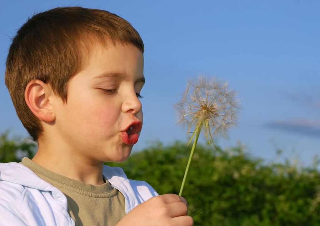 Astma ja allergia Lapsuusiän pitkäaikainen astma on valtaosin allergista astmaa.