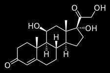 Kortisoli Erittyy lisämunuaisen kuorikerroksesta, eli se on kortikosteroidi.