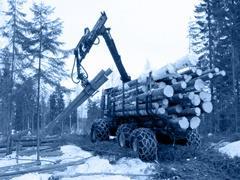 Kiitos