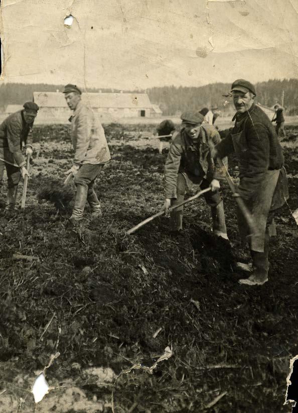 Inkerissä, niin kuin muuallakin Neuvostoliitossa, alkoi maatalouden kollektivisointi.