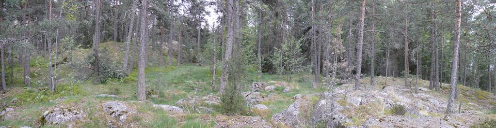 rakennuksesta