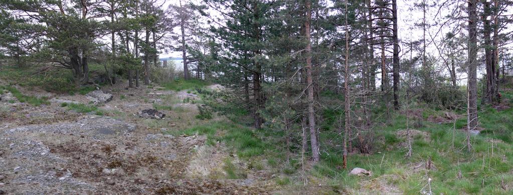 22 Eteläkärjen