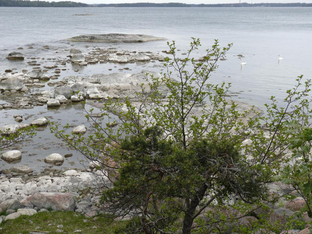 4 Yllä näkymä Käärmesaaren lounaisrannalta. Taustalla näkyy Espoon rannikkoa.