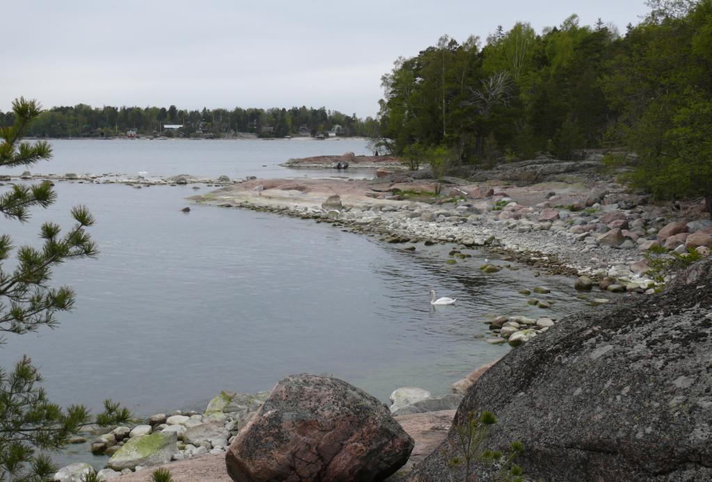 7 Länsirannan kalliot ja poukamat ovat kävijöiden suosimia. 3. Käärmesaari nykyisin 3.1 Luonto ja maisema Vaikka Käärmesaari on lähellä mannerta, se on samalla Laajalahden edustan uloimpia saaria.