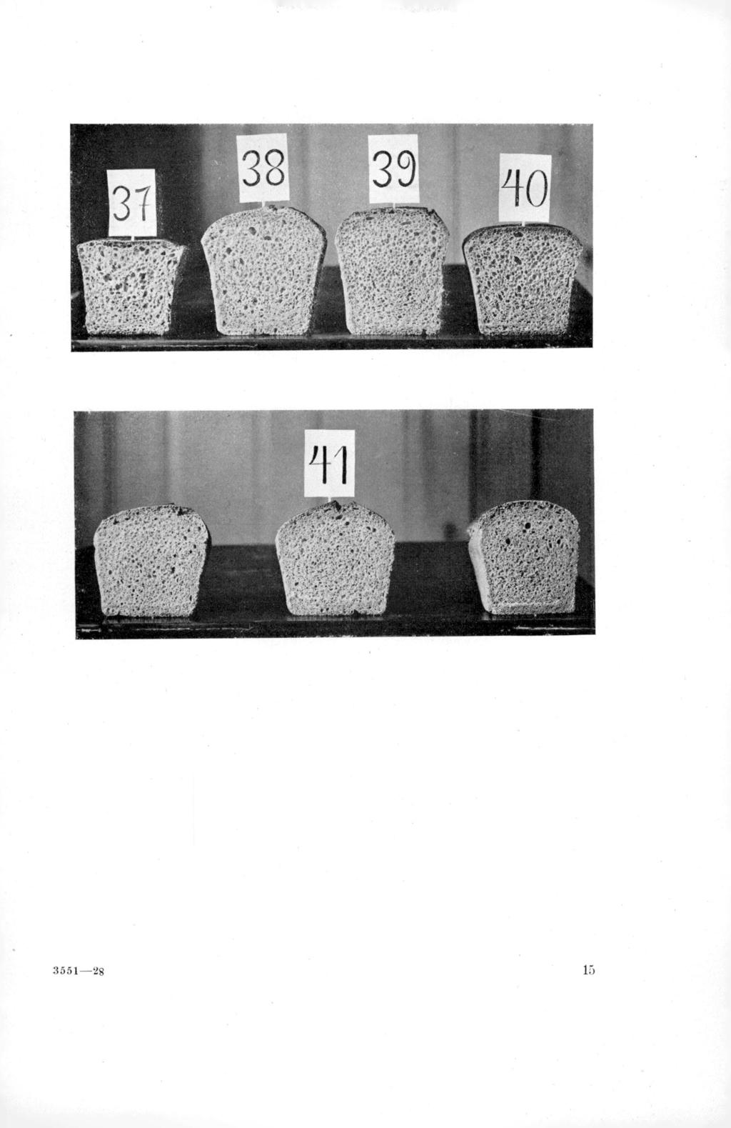 3551-28