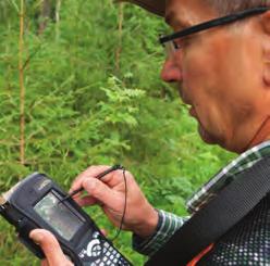 Metsädatapalvelu, Forest Data Service DATAPUU DataPuu-metsädatapalvelu tehostaa laajojen ja ajallisesti kattavien seuranta-aineistojen käyttöä.