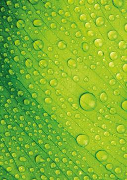 PEFC/02-31-120 Green Campuksen ympäristölupaukset Hyödynnämme yliopistomme poikkitieteellistä tutkimus- ja opetustoimintaa innovatiivisesti ympäristökuormituksemme pienentämiseksi.