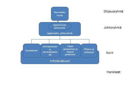 2. Suunnittelu toimeenpanon organisointi Tavoitteena on, että strategian toimeenpanon ohjaus sulautuu kansallisen sote-uudistuksen myötä tehtävän ohjausrakenteen osaksi.