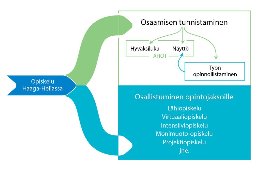 Osaamisen