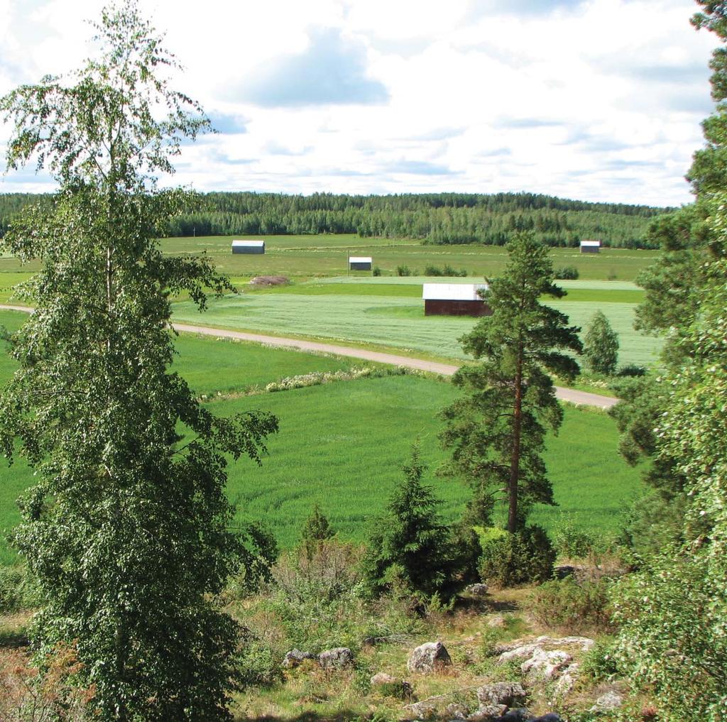 RAPORTTEJA 125 2013 Taistelutantereentie, Vöyri Museotien