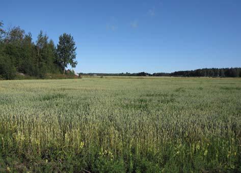 Höstvesi, rakennuskanta 2008. 3.3.27 Höstvesi (Anna Blomqvist) Höstvesi, joka sijaitsee noin 9 kilometriä Vaasasta itään päin, on vanha maanviljelyskylä, jolla on perinteitä keskiajalta.