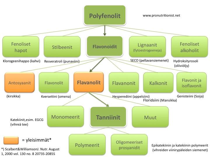 Lähde: Pronutritionist Polyfenoleiden lisäksi kahvi sisältää bioflavonoideja, vitamiineja ja mineraaleja.