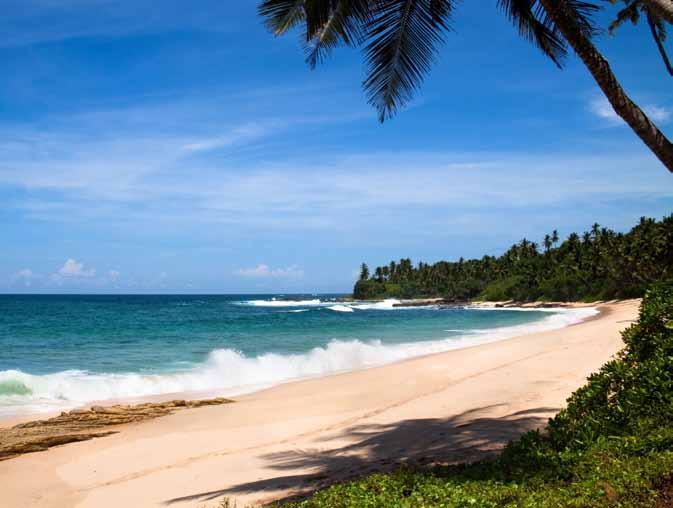 Mahdollisuus jatkaa lomaa Bentota Beach 24.2. 1.3.2017 Viikon kiertomatkan jälkeen halukkaat voivat pidentää matkaa ja rentoutua sekä pohtia kokemaansa rantalomakohteessa Bentota beachilla.