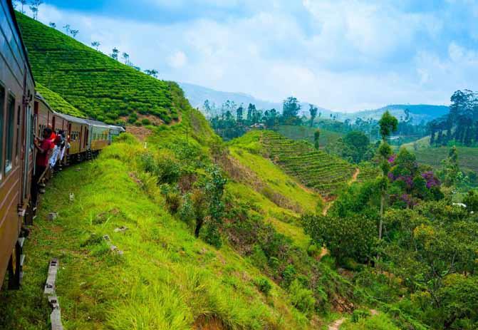 7. PÄIVÄ: KANDY NUWARA ELIYA (To 22.2.) Lähdemme Kandysta noin kahden tunnin bussimatkalle Peradeniyaan.