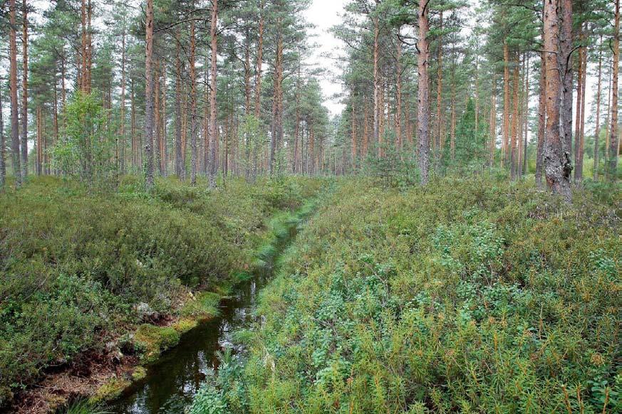 nan vaihemaakuntakaavan 2 suunnittelun perusperiaatteina ovat hyvän elinympäristön luominen sekä ekologisesti, taloudellisesti, sosiaalisesti ja kulttuurisesti kestävän kehityksen edistäminen.