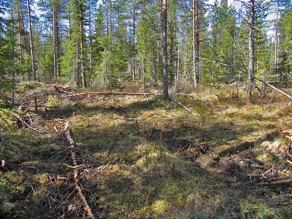 Kuljettajan arkea Pehmeä kohta on kierrettävä ajoissa, jos joutuu pehmeikköön, kääntyessä uppoaa todennäköisesti.