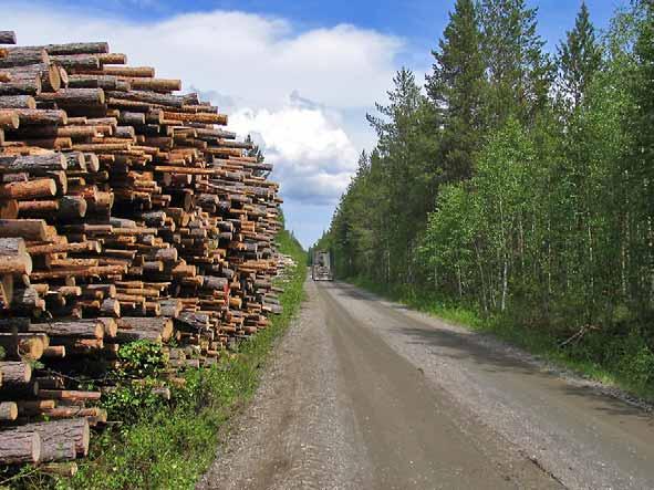 Oikea asenne, hyvä tulos Heikosti kantavan maan korjuu sulan maan aikana asenteellisesti osaksi normaalia puunkorjuuta.