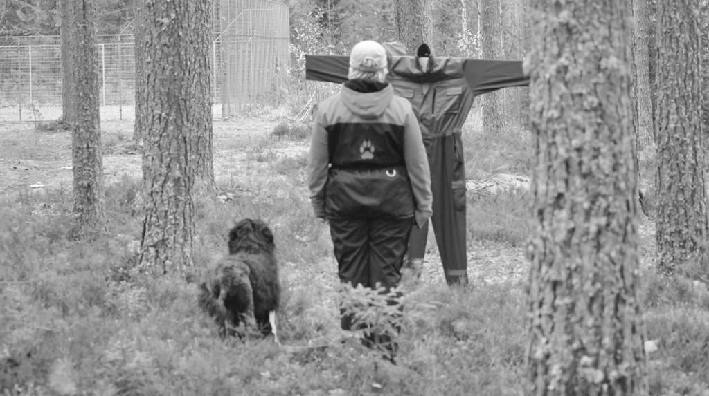 Kennelliiton koekalenterista www.kennelliito.fi/ FI/toiminta/kokeet/etusivu.htm löydät kuluvan vuoden MH-luonnekuvaukset.