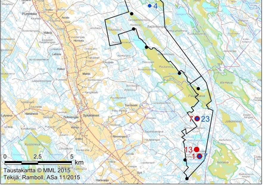 Aktiivisissa lepakkokartoituksissa tehtiin havaintoja ainoastaan pohjanlepakosta, arviolta 10-12 eri yksilöstä.