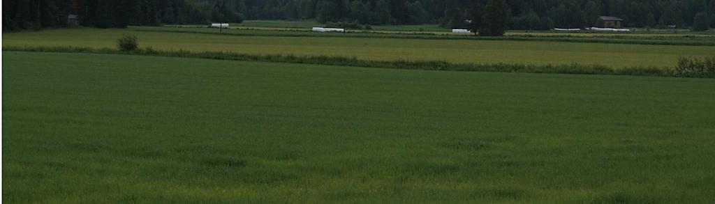 Vaihtoehdossa VE1, lähimmät Vilskannevan ja Nuorasennevan alueelle sijoittuvat voimalat nousevat selkeästi metsän rajan yläpuolelta esiin, kun taas vaihtoehdossa VE2 lähimmät voimalat jäävät