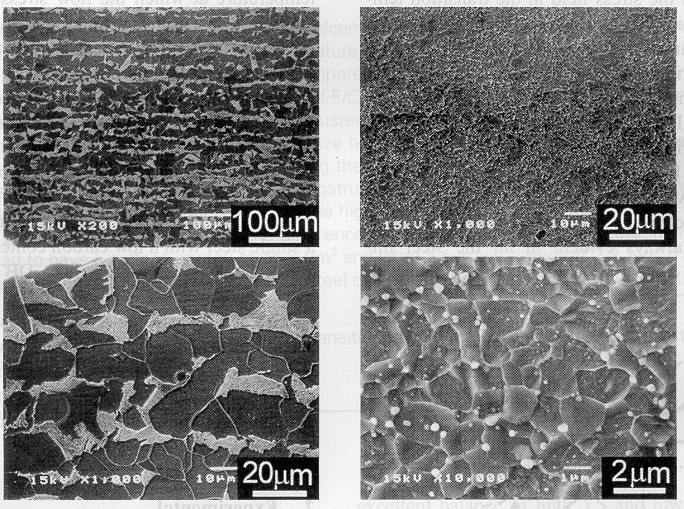 LIITE 1.3 3 Ferritic/pearlitic steel was subjected to a thermo-mechanical treatment, which resulted in different structures and properties (Table 3) [4]. Fig.
