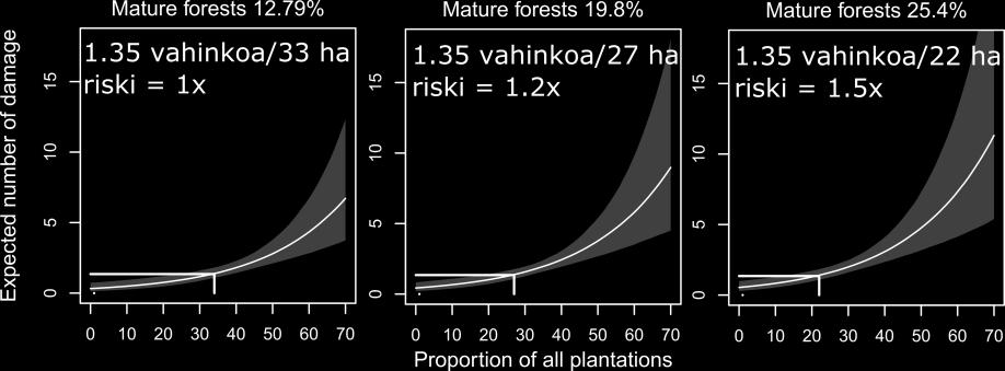 varttuneiden metsien määrän lisääntyminen lisää tuhoriskiä ilmeisesti siksi,