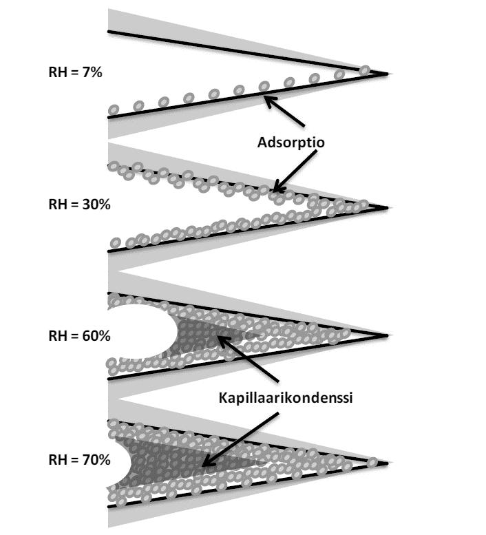 Kuva 16 Huokosilman suhteellisen kosteuden (RH) noustessa, kapillaarihuokosten seinämiin adsorptiolla sitoutuneen kosteuden määrä kasvaa.