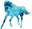 Toto-ravit KOUVOLA tiistaina.. klo 1.00 rata 0 Veljekset Wahlsten Kokelasmeeting Fast Cup -karsinta Lämminveriset ryhmäajo 0 m enintään 000 e. Palk. 0-0-0-00-- e klo 0.1 vaal.