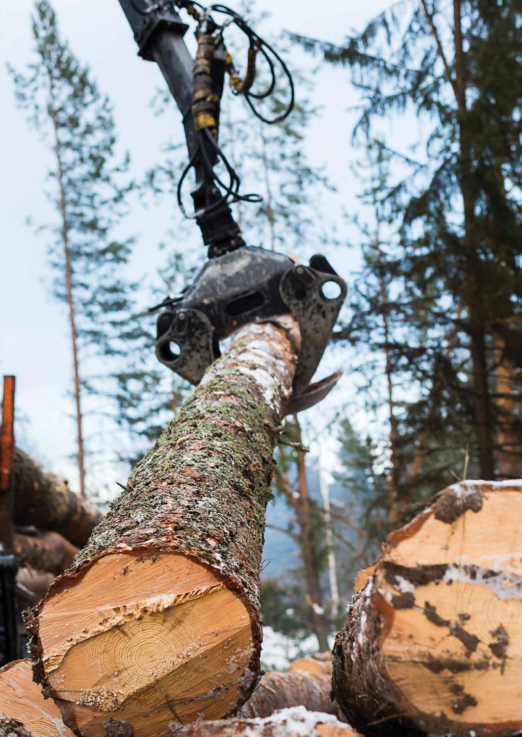 Metsästä parempaa tuottoa Metsä on hyvin arvonsa säilyttävä ja vakaata tuottoa tarjoava sijoituskohde, joka sopii täydennykseksi monenlaisiin sijoitussalkkuihin.