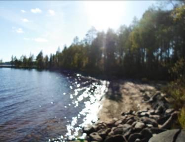 11 Suunnittelualueella ei ole LSL tarkoittamia elinympäristöjä.