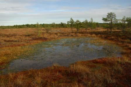 Maisema alkoi muovautua noin 11 000 vuotta sitten viimeisen jääkauden mannerjään reunan vetäytyessä luoteeseen ja paljastaessa hiljalleen nousevan maan.