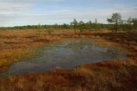 Maisema alkoi muovautua noin 11 000 vuotta sitten viimeisen jääkauden mannerjään reunan vetäytyessä luoteeseen ja paljastaessa hiljalleen nousevan maan.