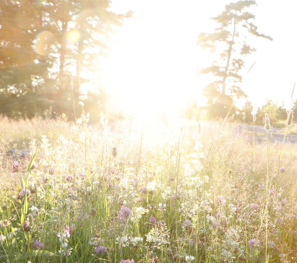 itäjänmäessä on aina tehty, yritetty ja valmistettu. Täällä on osattu ja tänne on tultu tekemään, rakentamaan ja kukoistamaan.