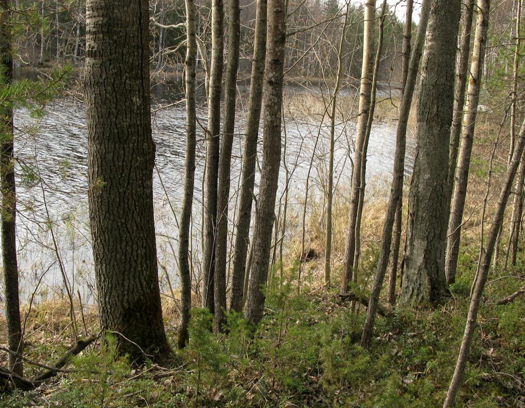 SALMENKYLÄN ASEMAKAAVAN LAAJENNUSALUEEN