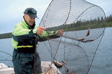 Kalastusluvat 26 Kalastusluvat kuntoon Virkistyskalastuskohteet 28 Lapin järvissä ui arvokalaa 30