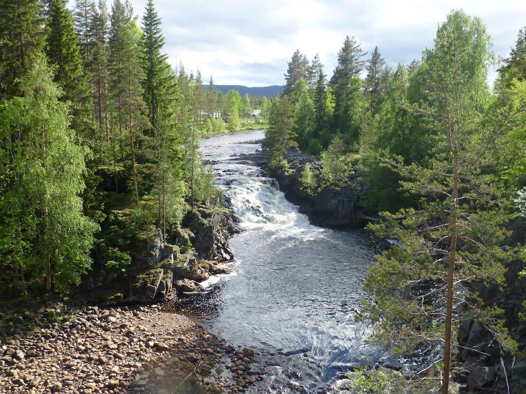 METSÄSUOMALAISET SUOMALAISMETSISSÄ Pohjois-Norjassa asuessa tottuu siihen, että paikkojen nimet on monesti kirjoitettu kolmella kielellä. Norjaksi, saameksi ja kveeniksi - Vadsø, Čáhcesuolu,Vesisaari.