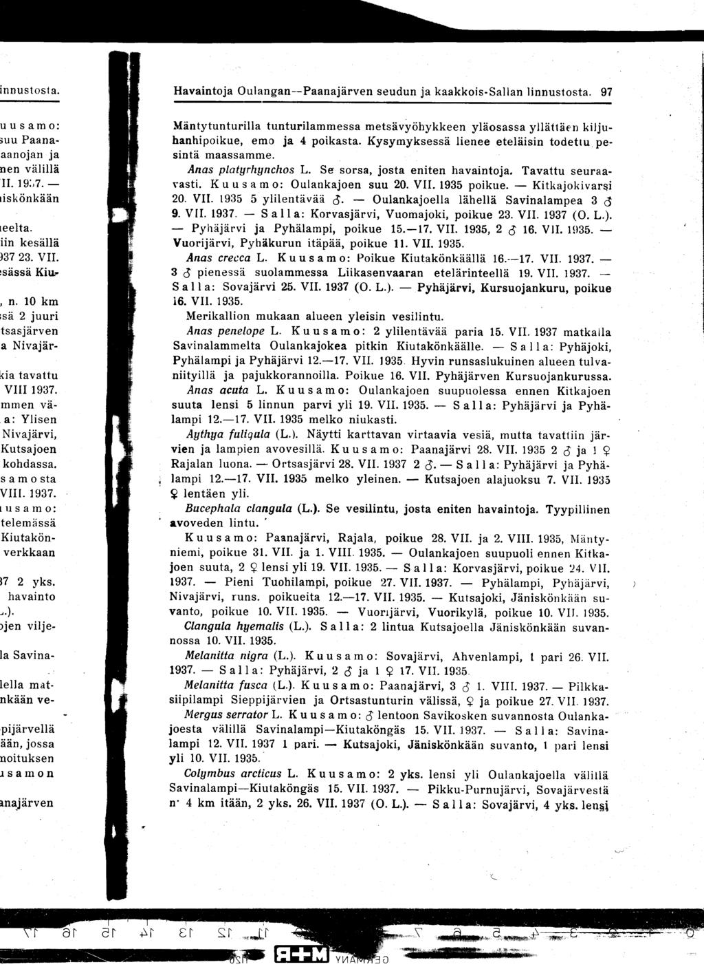 Havaintoja Oulangan--Paanajärven seudun ja kaakkois-sallan linnustosta 97 Mäntytunturilla tunturilammessa metsävyöhykkeen yläosassa yllättäen kiljuhanhipoikue, emo ja 4 poikasta Kysymyksessä lienee