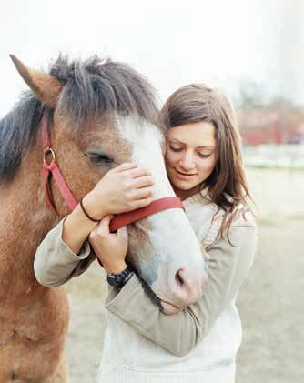 TERVEYSSELVITYS Hevosen vakuuttaminen edellyttää joskus eläinlääkärin tekemää terveysselvitystä.