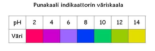 TYÖN SUORITUS Hienonna muutama punakaalin lehti veitsellä. Siirrä silppu dekantterilasiin. Lisää 50 ml mahdollisimman lämmintä vettä. Sekoita.