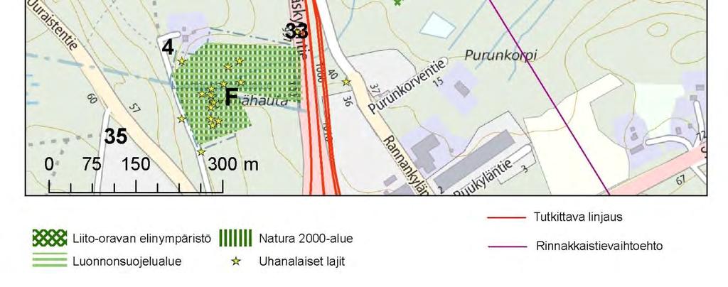Liito-oravaa on tavattu alueella myös vuonna 2011. (Oja;ym., 2011) Liito-oravalle soveltuva elinalue kulkee noin 40 metriä leveänä Jyväskyläntieltä koilliseen.
