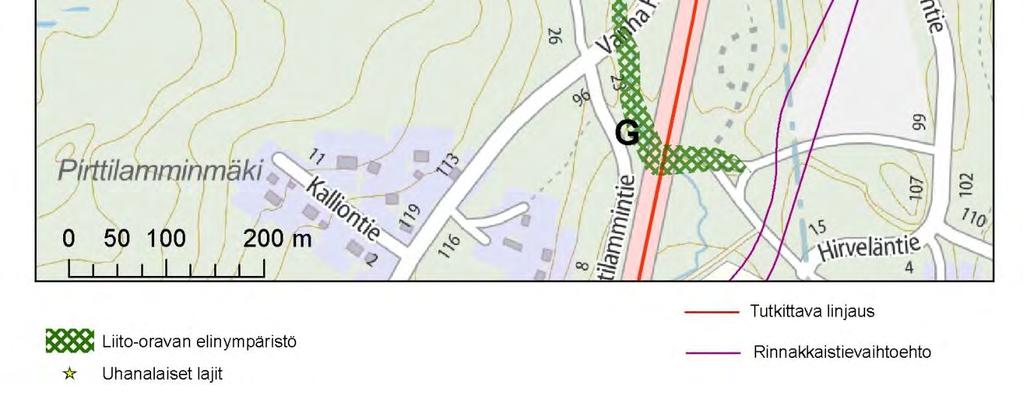 (Kärkkäinen, 2010) Liito-oravan esiintyminen keskittyy puron yläjuoksulle, jossa kasvillisuus on saniaisvaltaista lehtoa, suurruoho- ja saniaiskorpea. Kasvillisuuteen kuuluvat mm.