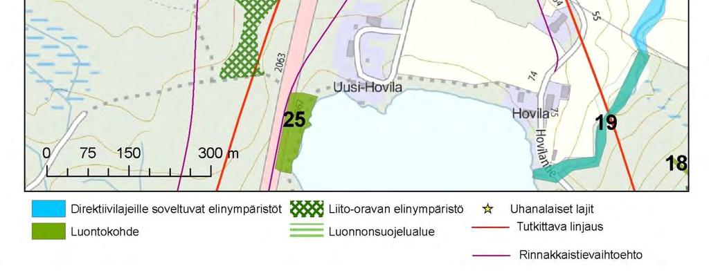 Alueella on tavattu liito-oravaa ja sille sopivaa elinympäristöä maastokartoituksissa 2009 ja 2012 (ELY-keskus, HERTTA-aineisto 11.6.2015).