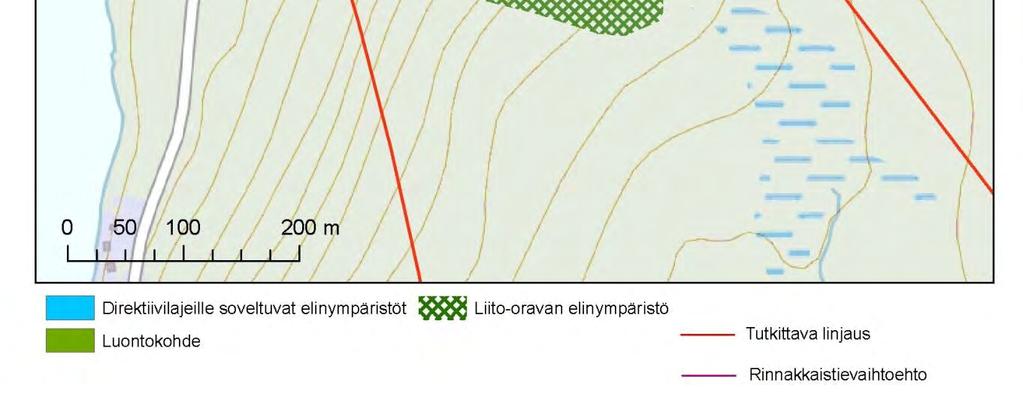 metsäkuvio, jolla esiintyy paikoin myös runsaasti haapaa.